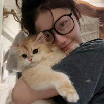 老虎与妙贼